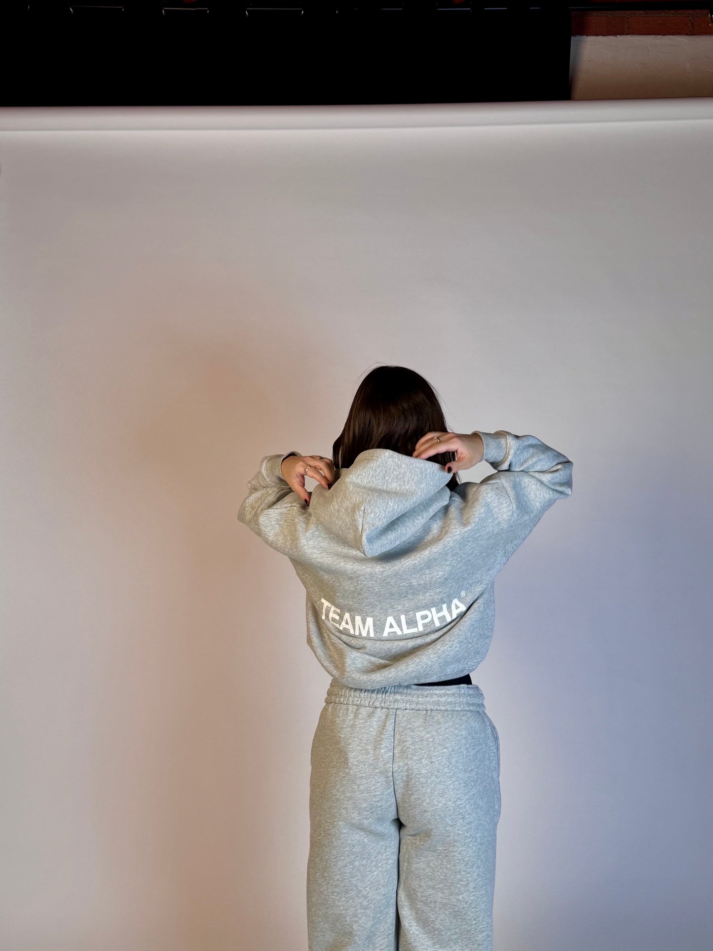 Team Alpha Hoodie - Ash Gray