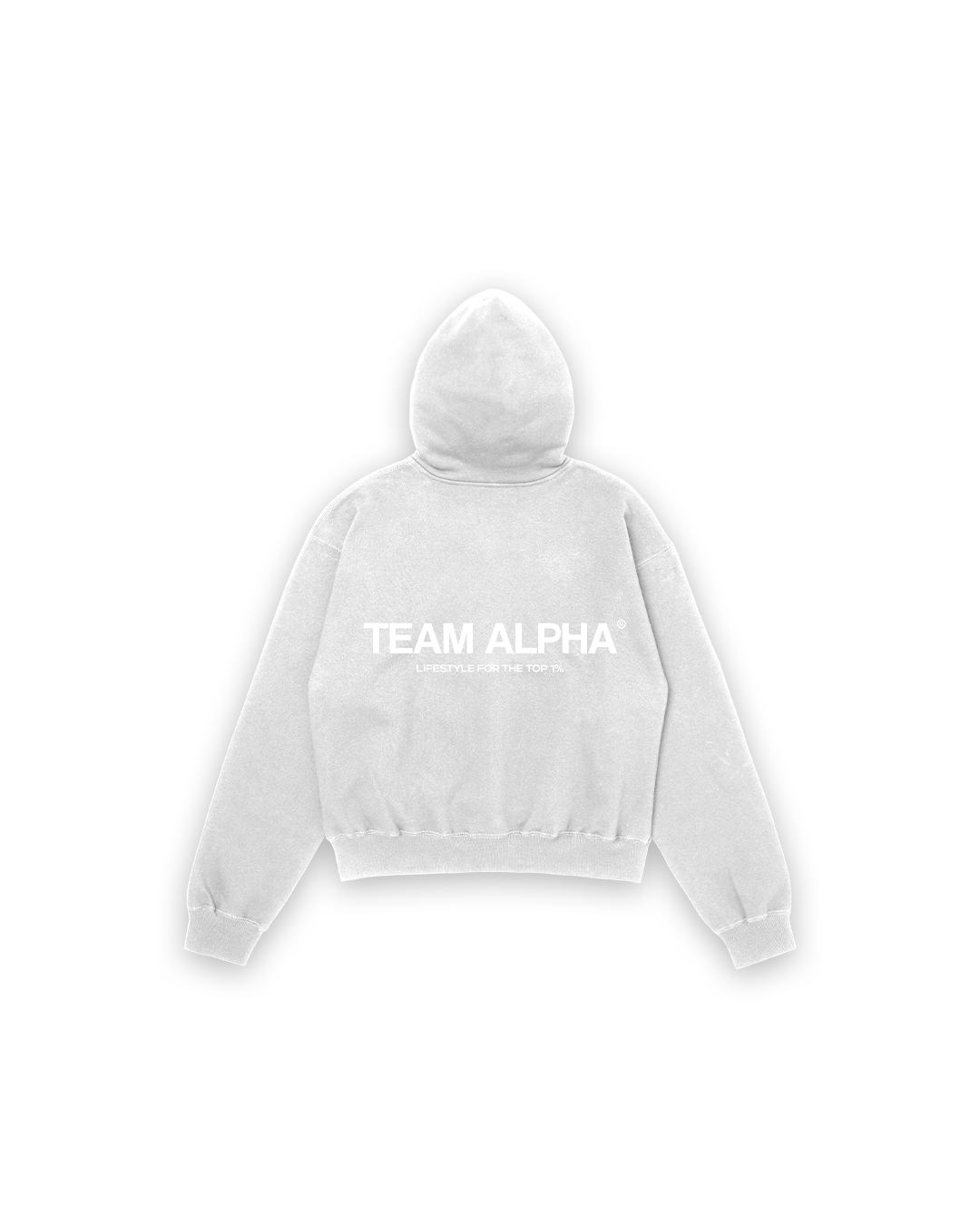 Team Alpha Hoodie - Ash Gray