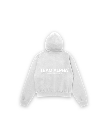 Team Alpha Hoodie - Ash Gray