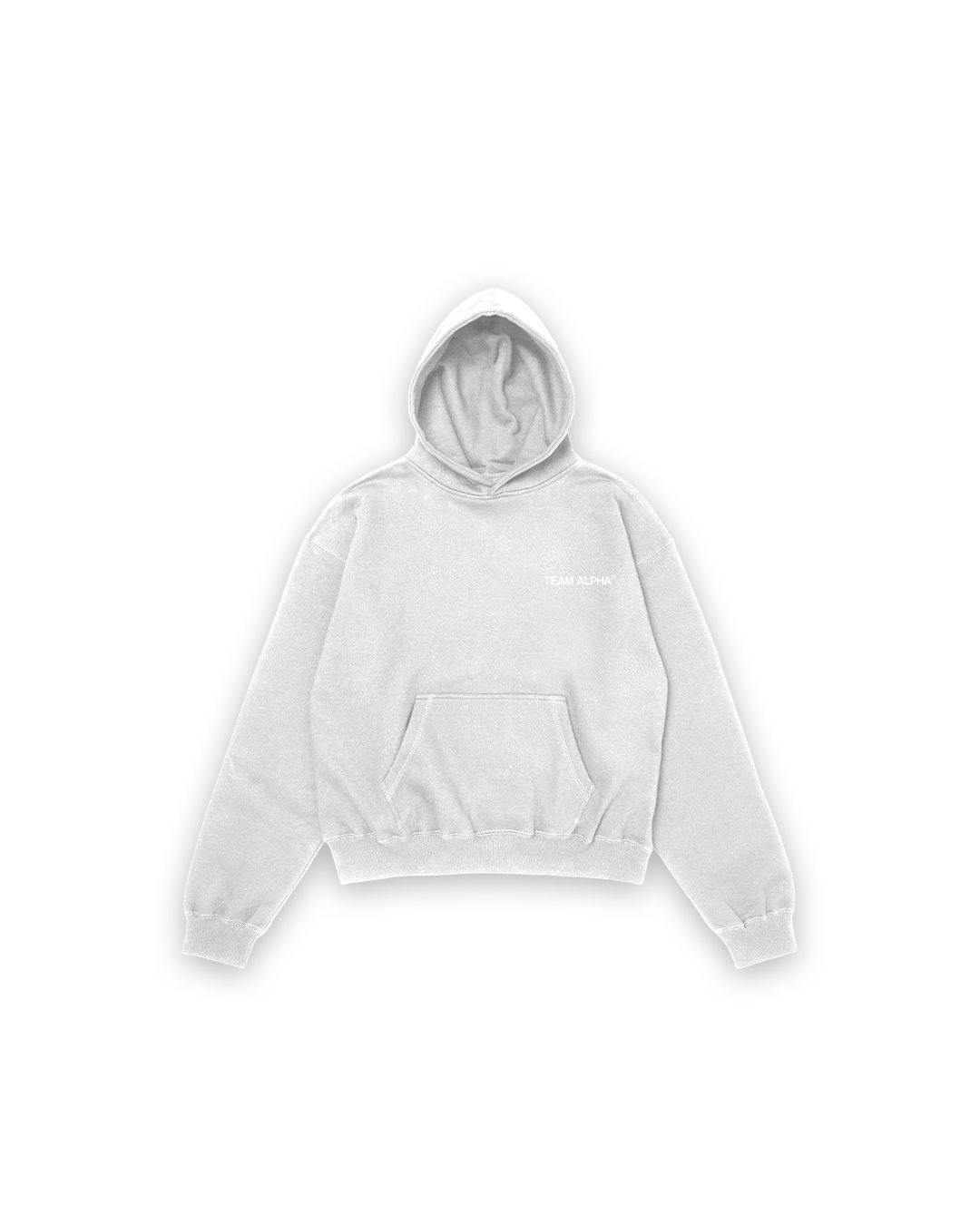 Team Alpha Hoodie - Ash Gray